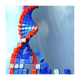 Social, Ethical, and Human Issues: Standard BCS-Ca1-1