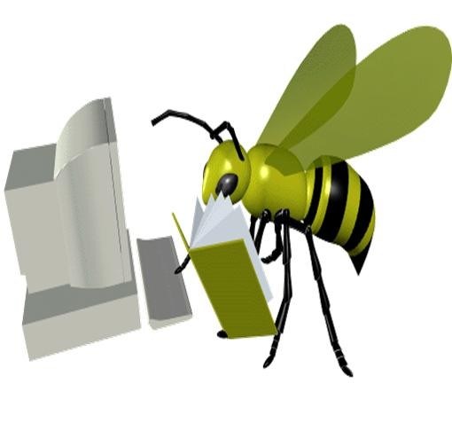 Information Research: BCS-CA1-9